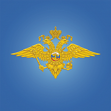 Об информации МВД России для иностранных ИТ-специалистов и членов их семей